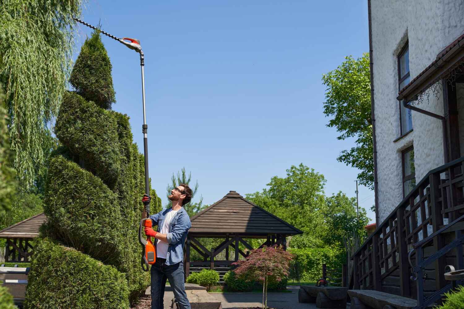 Best Tree Cutting Near Me  in Carlyle, IL